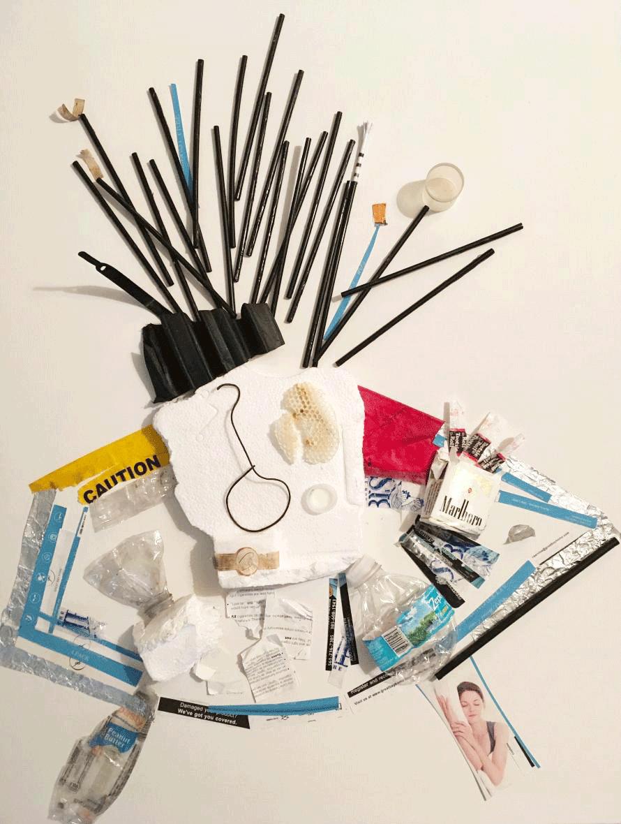 Still Life
Collected from 6 mile walk around the Club 
at Ibis, WPB
27" x 37" : Florida Collages : ART UNDERFOOT :: CAROL BASTIEN